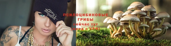 трава Карталы