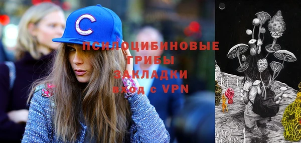 дмт Карпинск