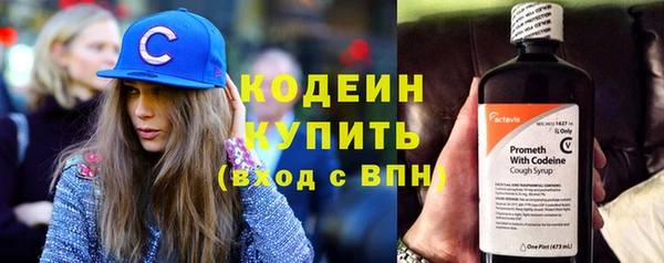 дмт Карпинск