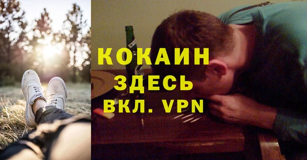 дмт Карпинск