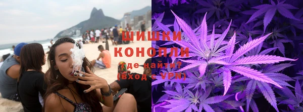 дмт Карпинск