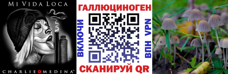 Купить  Янаул  Псилоцибиновые грибы MAGIC MUSHROOMS 